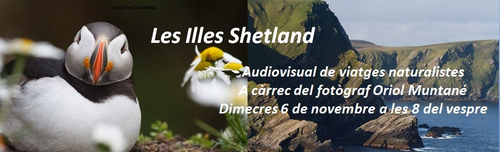 banner-illes-shetland.jpg