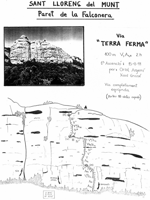 Terra Ferma (La Falconera).jpg