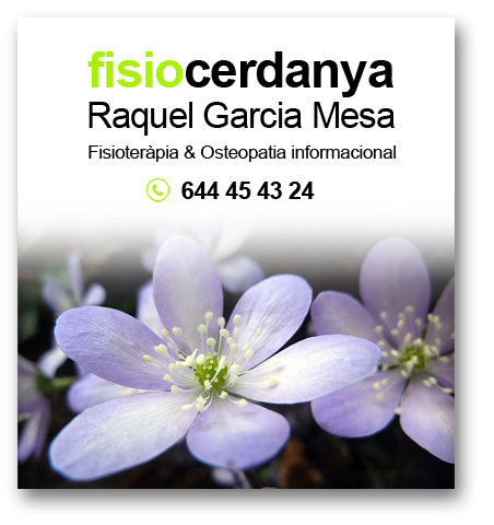 fisioterapia-osteopatia-informacional-cerdanya-2