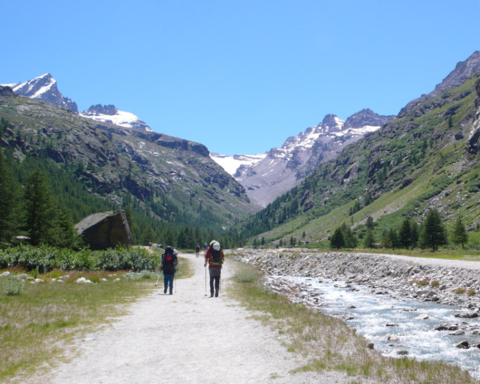 Gran Paradiso con guía - Imagen 2